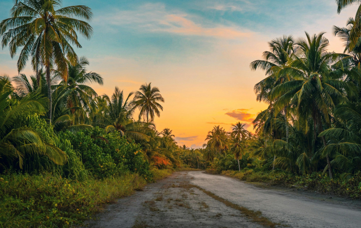About Summer Hills